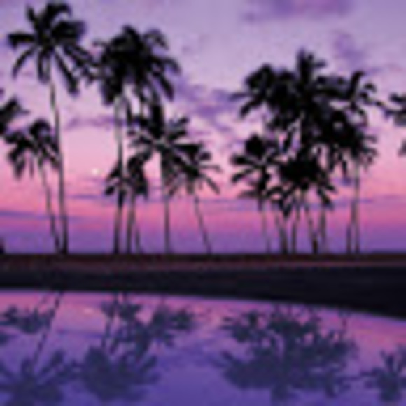 Meet your Posher - Picture 1 of 1